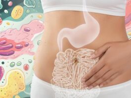 Disbiosi intestinale silente: sintomi non digestivi da non sottovalutare